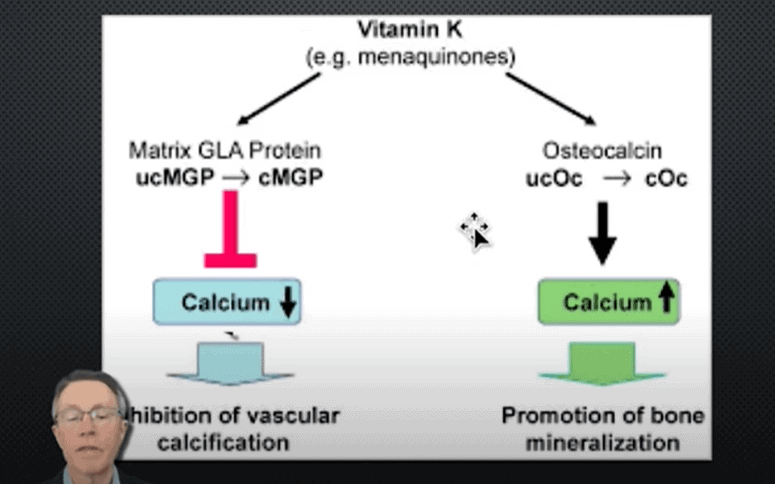 Vitamin K Activates Osteocalcin (to Promote Bone Mineralization) & Matrix Gla Protein (to Inhibit Vascular Calcification)