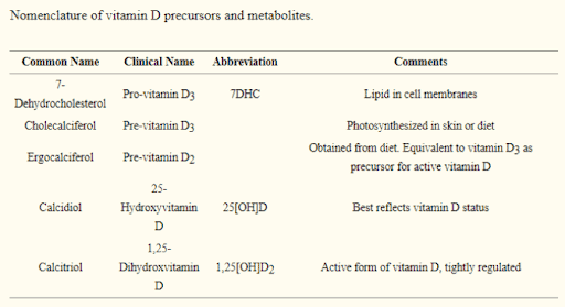 Vitamin D precursors and metabolites