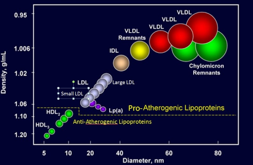 Chylomicrons vs VLDL vs IDL vs IDL vs LDL vs HDL