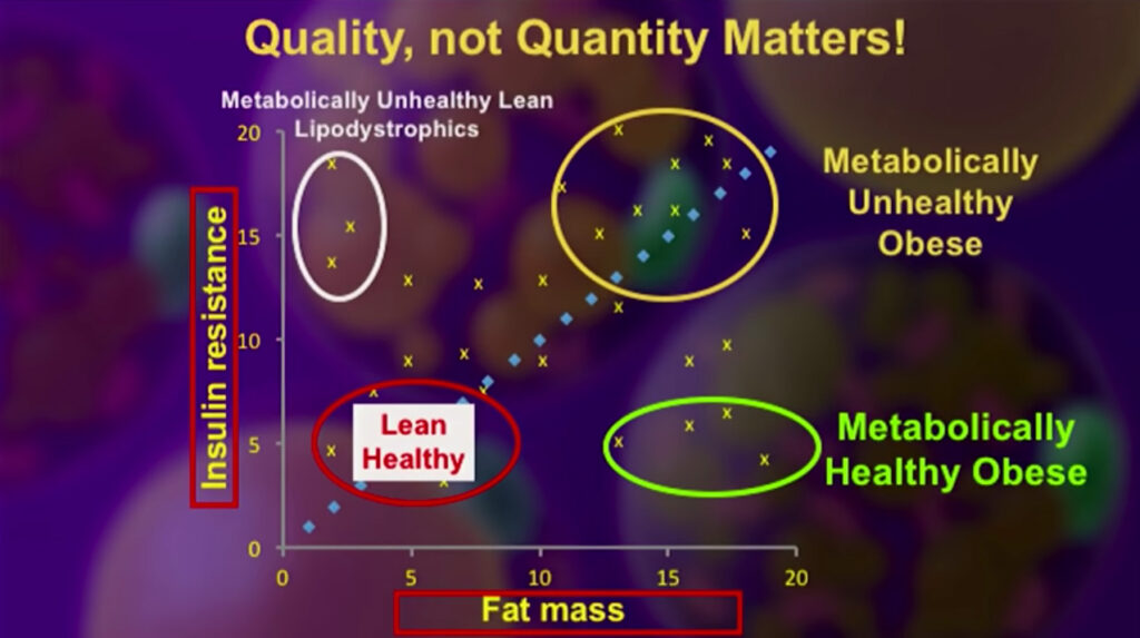 fat mass in the bottom axis