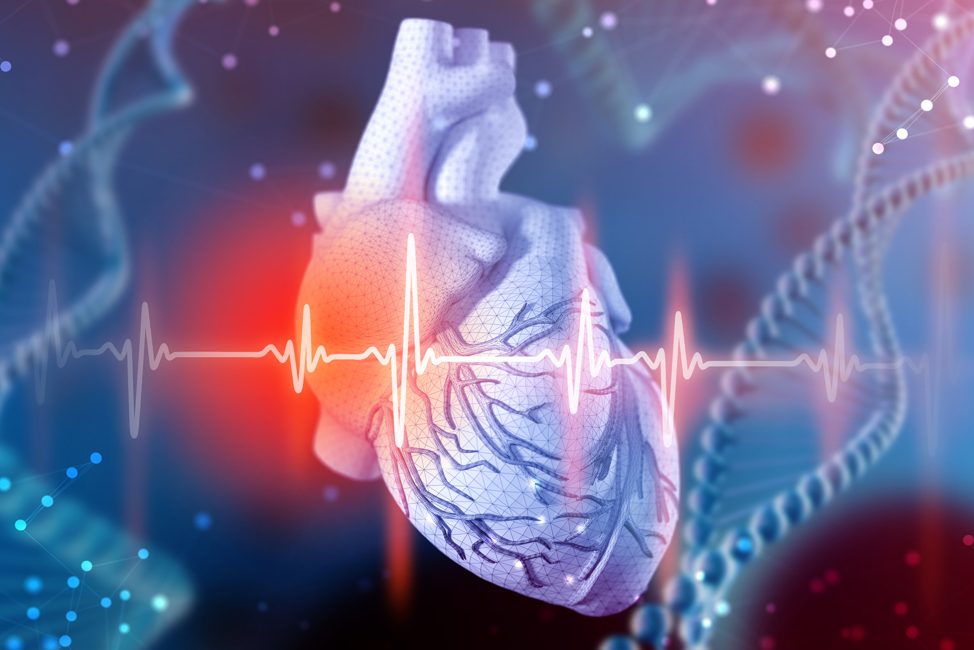 Сердце кардиология