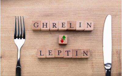 How to Stop Ghrelin, the Hunger Hormone